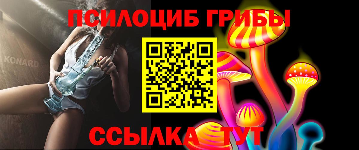Псилоцибиновые грибы Psilocybe Сарапул